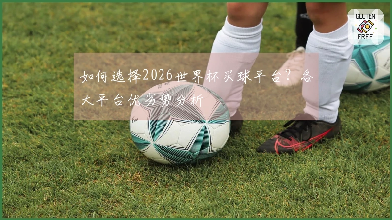 如何选择2026世界杯买球平台？各大平台优劣势分析
