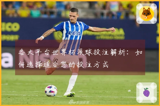 各大平台世界杯滚球投注解析:如何选择适合您的投注方式