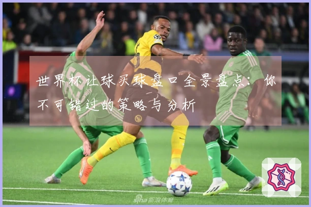 世界杯让球买球盘口全景盘点：你不可错过的策略与分析