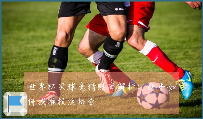 世界杯买球竞猜赔率解析：新手如何找准投注机会