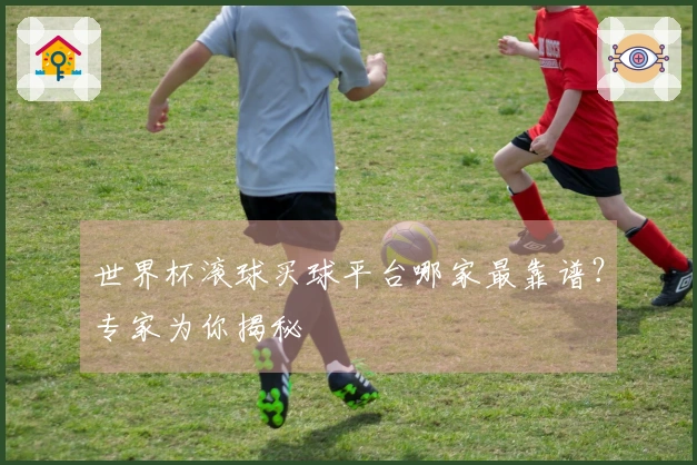 世界杯滚球买球平台哪家最靠谱？专家为你揭秘