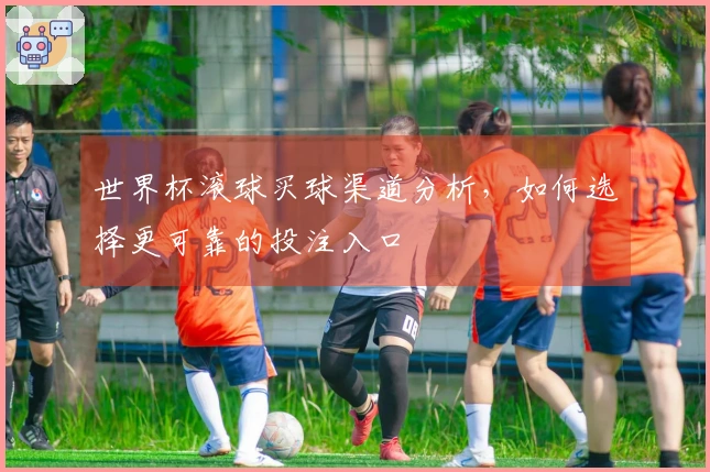 世界杯滚球买球渠道分析，如何选择更可靠的投注入口