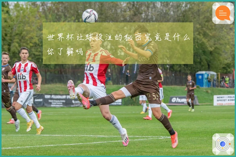 世界杯让球投注的秘密究竟是什么你了解吗