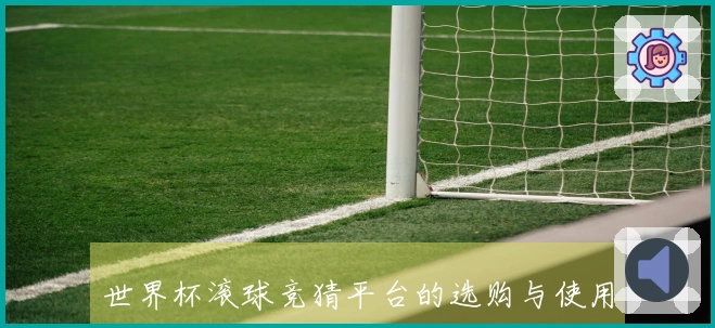 世界杯滚球竞猜平台的选购与使用要点分析