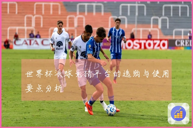 世界杯滚球竞猜平台的选购与使用要点分析