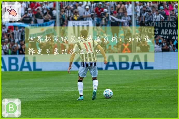 世界杯滚球买球渠道分析，如何选择更可靠的投注入口