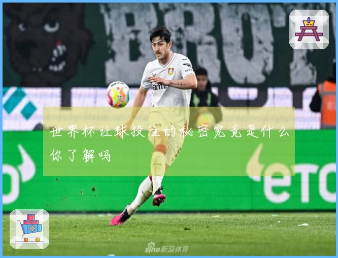 世界杯让球投注的秘密究竟是什么你了解吗
