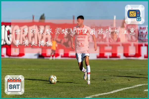 世界杯滚球买球App使用技巧与注意事项大揭秘