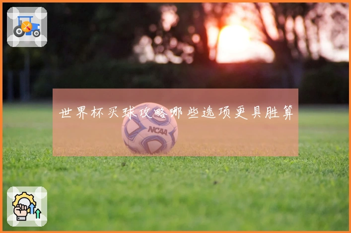 世界杯买球攻略哪些选项更具胜算