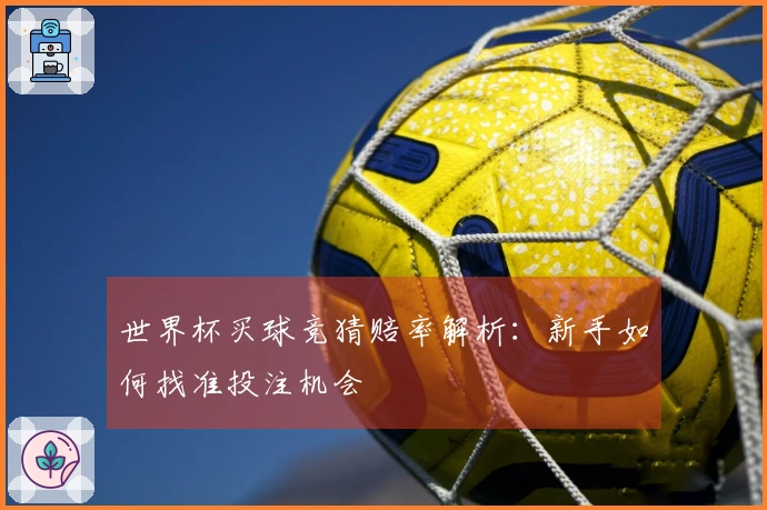 世界杯买球竞猜赔率解析：新手如何找准投注机会
