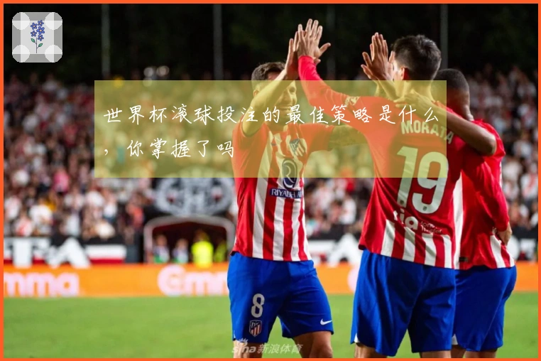 世界杯滚球投注的最佳策略是什么，你掌握了吗
