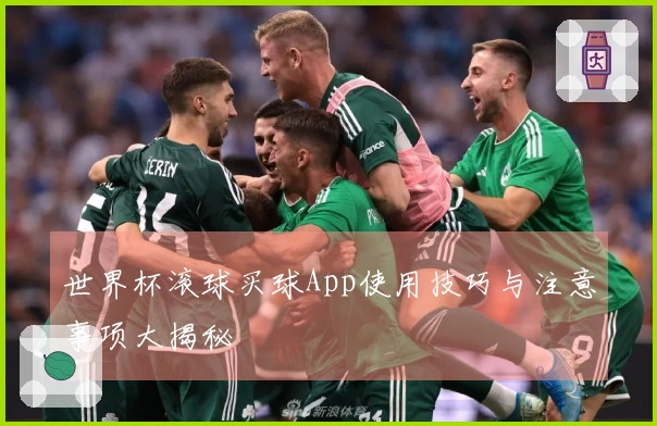 世界杯滚球买球App使用技巧与注意事项大揭秘