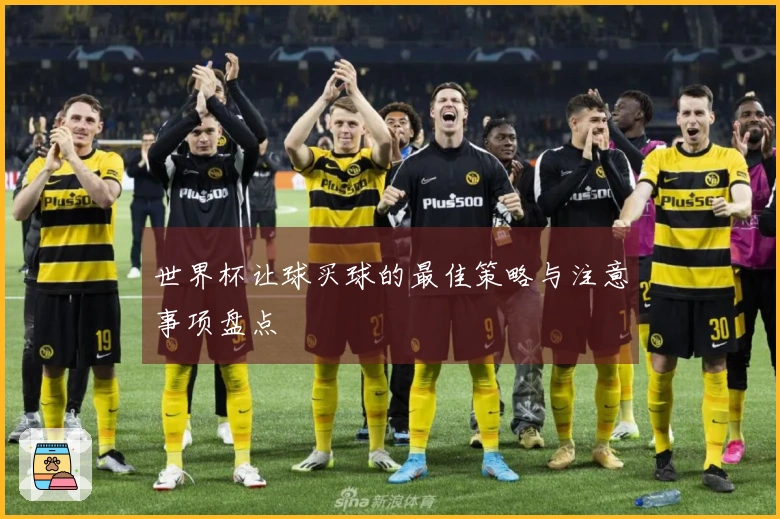世界杯让球买球的最佳策略与注意事项盘点