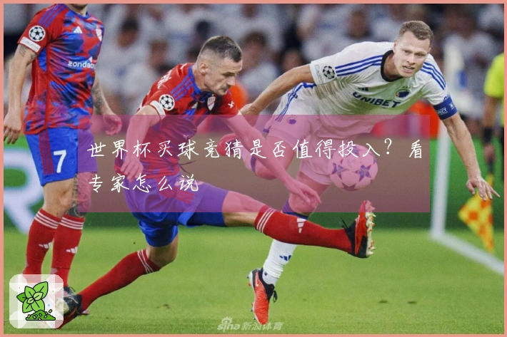 世界杯买球竞猜是否值得投入？看专家怎么说