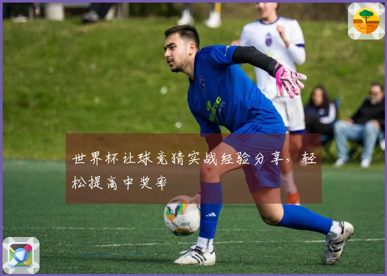 世界杯让球竞猜实战经验分享,轻松提高中奖率